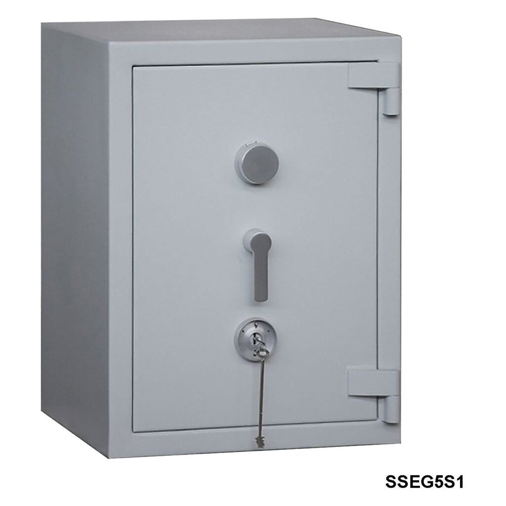 SSEG5S1