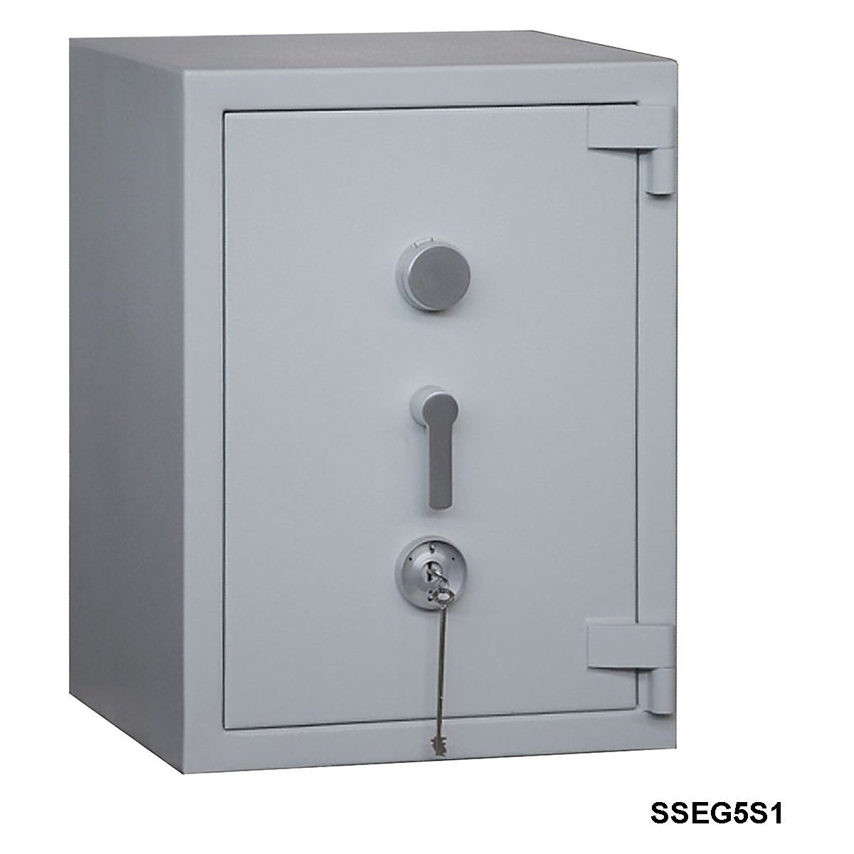 SSEG5S1